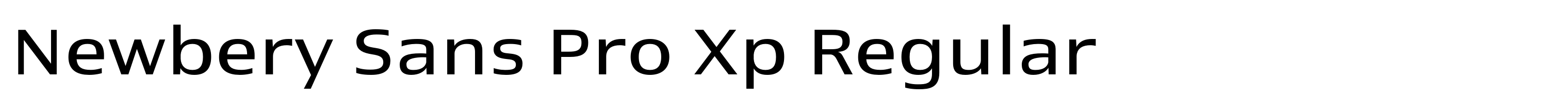 Newbery Sans Pro Xp Regular